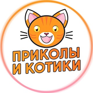 Приколы и Котики (@prikotik)